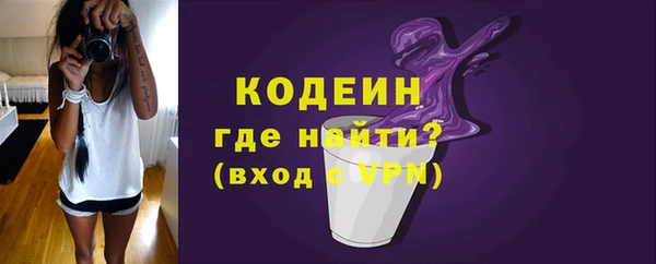 прущие грибы Богородск