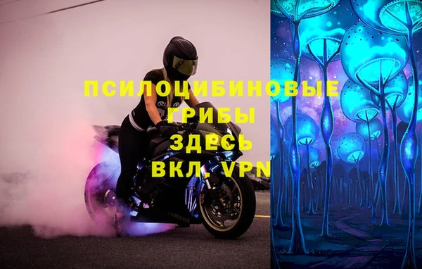 прущие грибы Богородск
