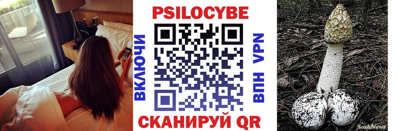 Купить закладки  Себеж  Псилоцибиновые грибы Cubensis 